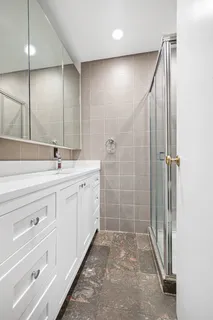 a bathroom with a shower and a sink