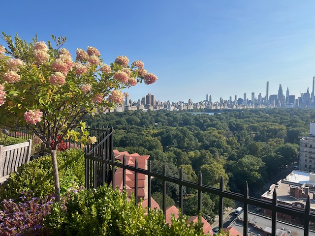 444 Central Park West, Unit 5E Manhattan, NY 10025 - Photo 12 of 14 a backyard of a house with lots of green space