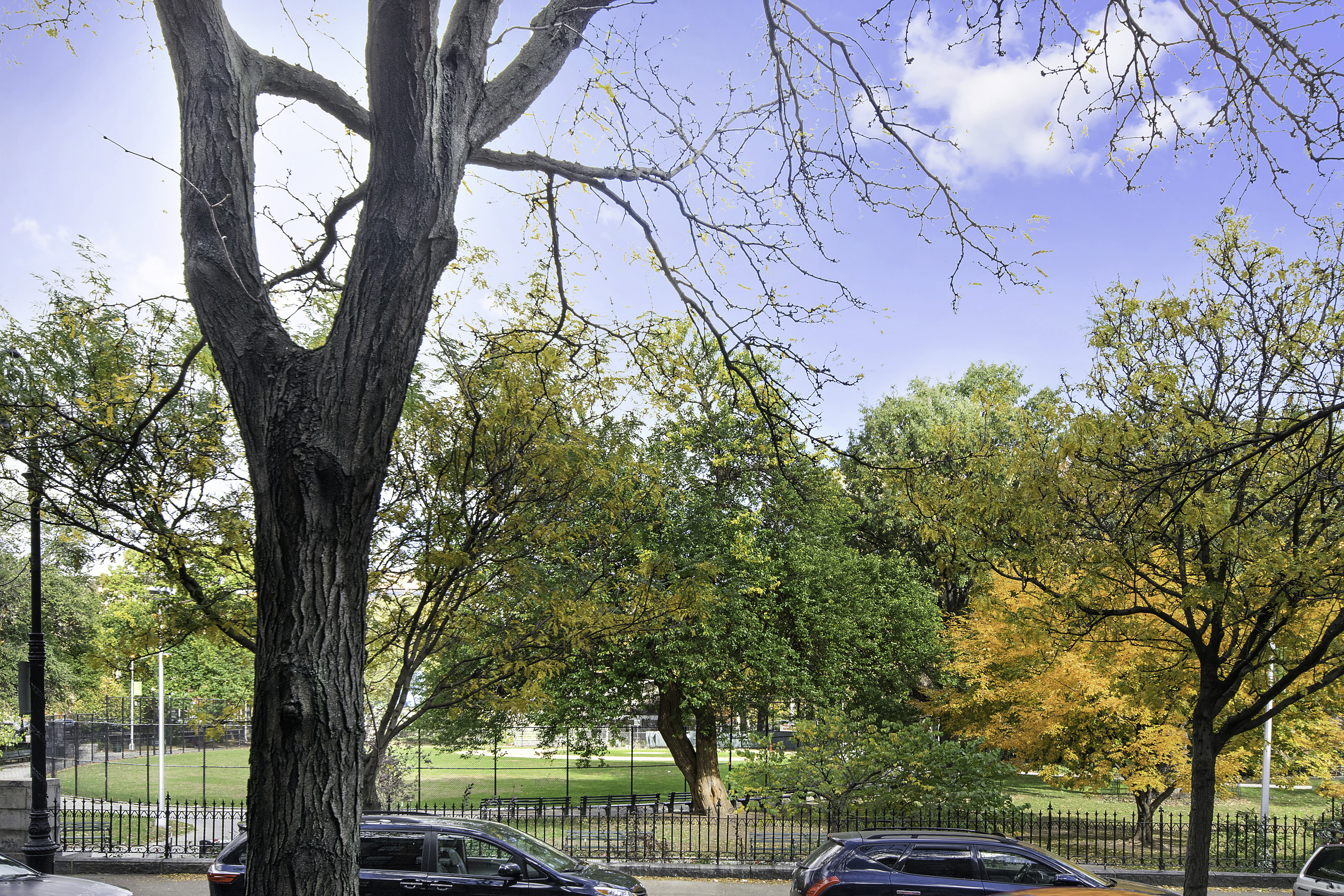 22 West 120th Street Manhattan, NY 10027 - Photo 20 of 21 a view of a yard with plants and trees