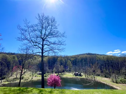$4,450,000 | 3665 Creels Lane, The Plains, VA 20198