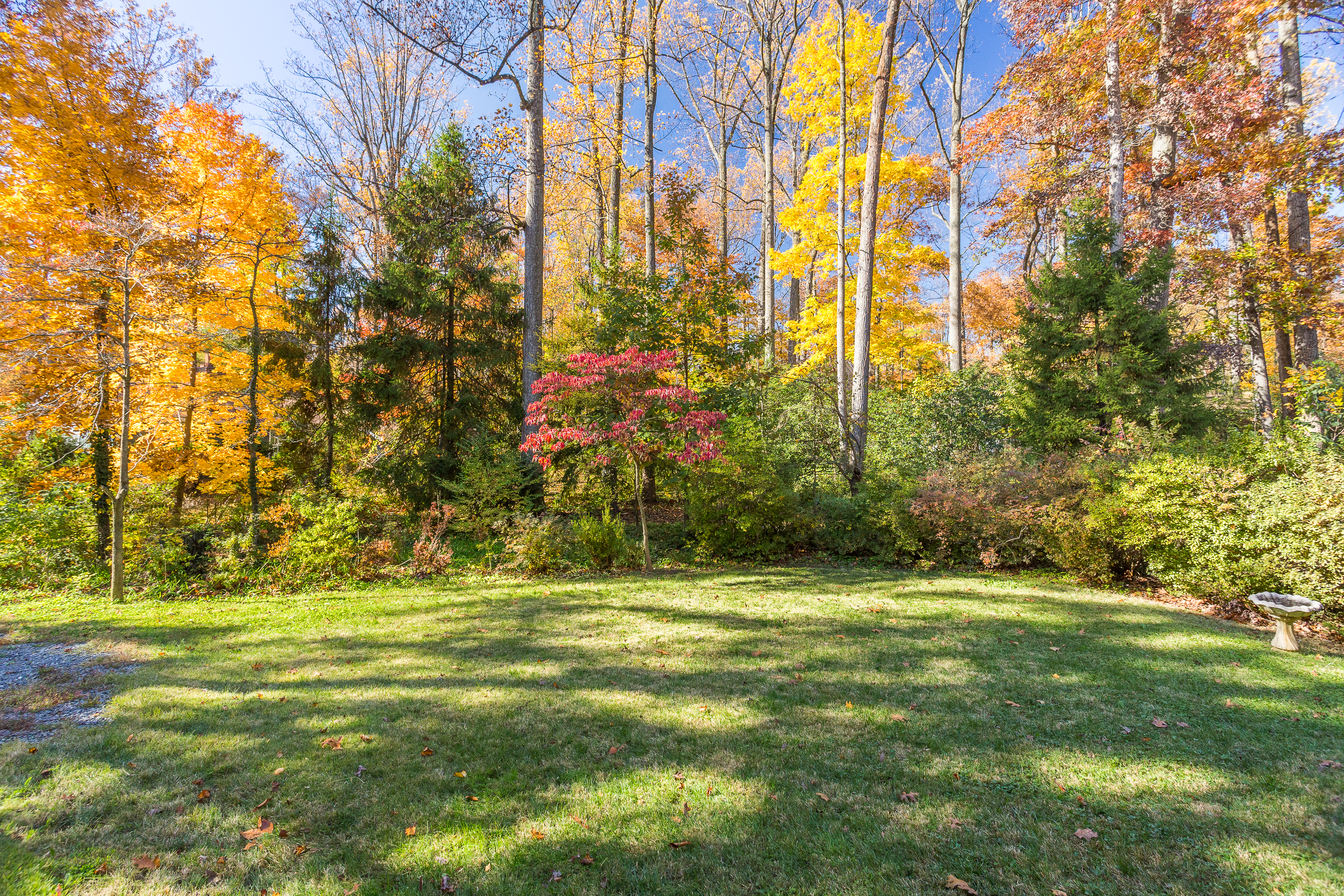 6515 Marywood Road Bethesda, MD 20817 - Photo 12 of 26