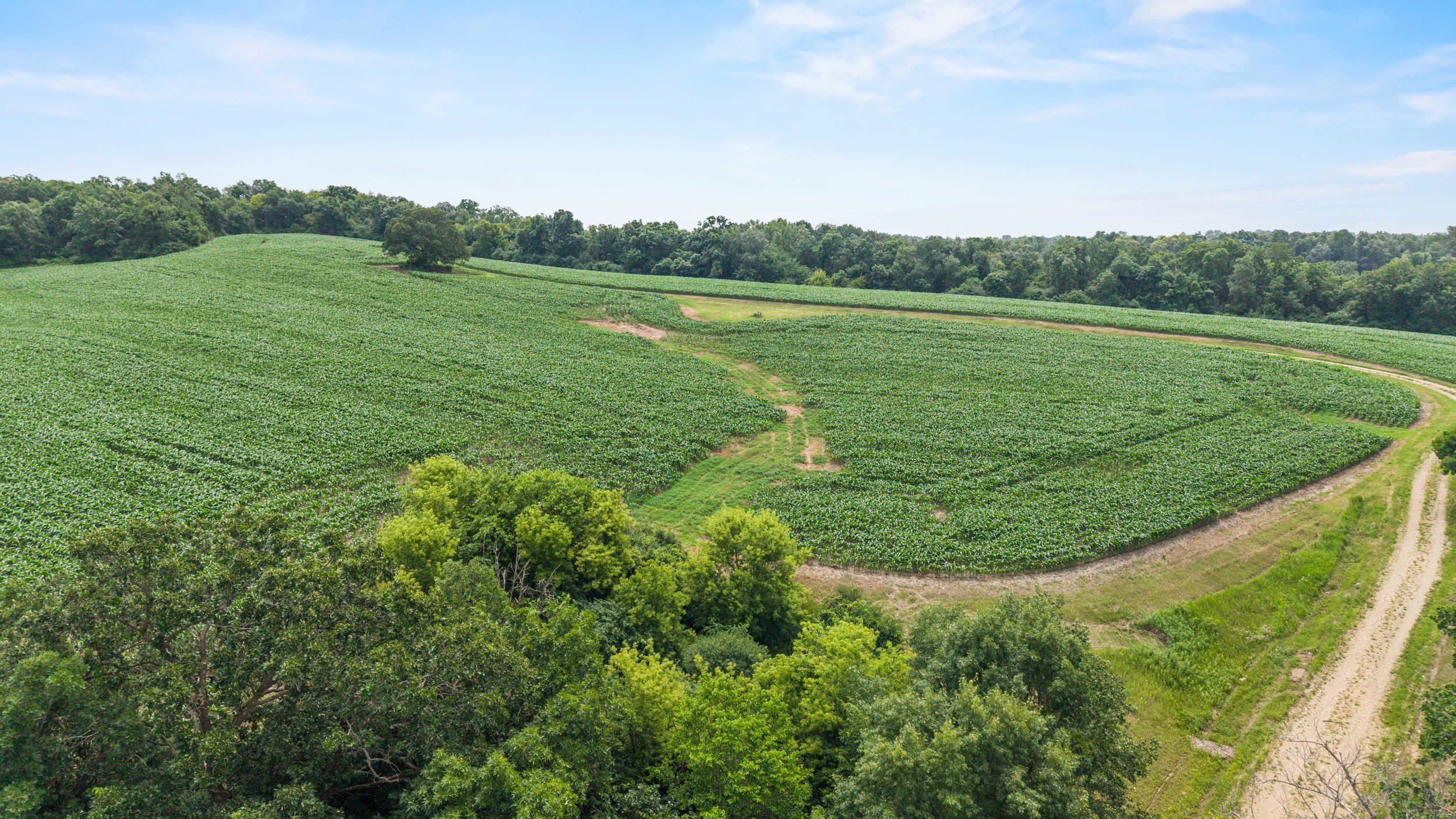 146 /- Acres Otto Kerl Road Cross Plains, WI 53528 - Photo 18 of 20