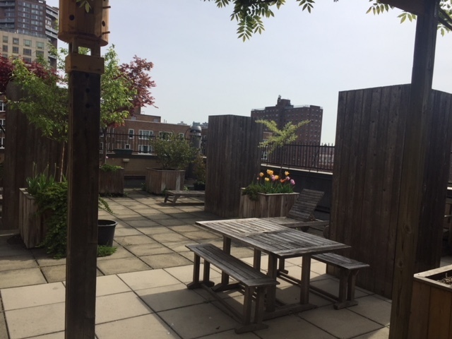 1255 5th Avenue, Unit 6D Manhattan, NY 10029 - Photo 11 of 15 a view of a terrace with furniture