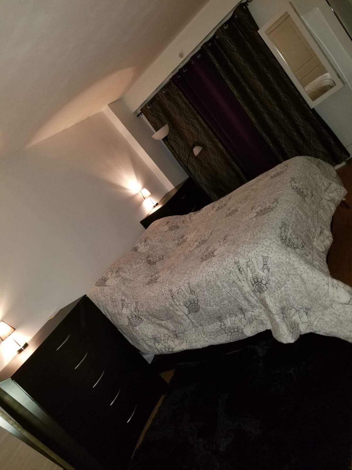 1019 Van Siclen Avenue, Unit 6K Brooklyn, NY 11207 - Photo 4 of 6