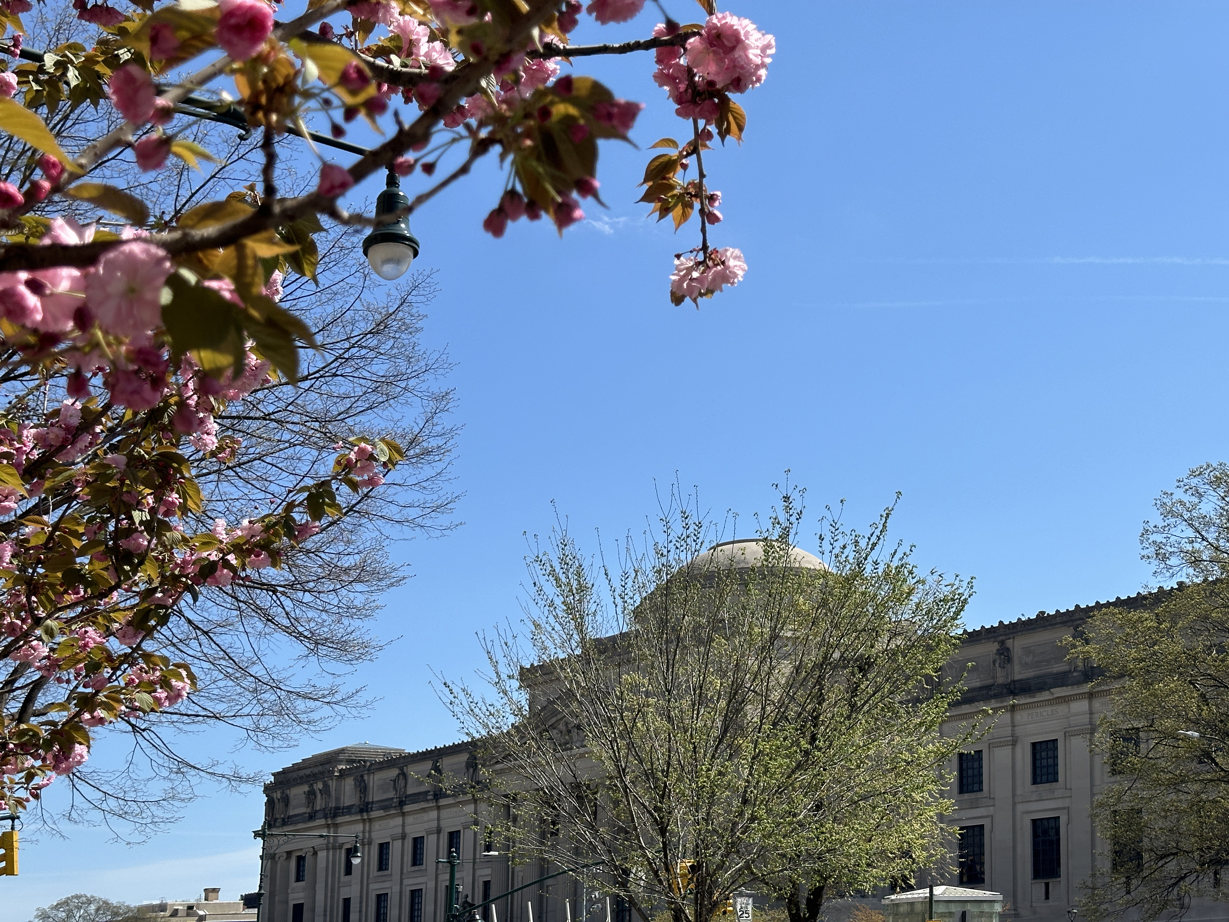 135 Eastern Parkway, Unit 9I Brooklyn, NY 11238 - Photo 15 of 17 a view of a flower