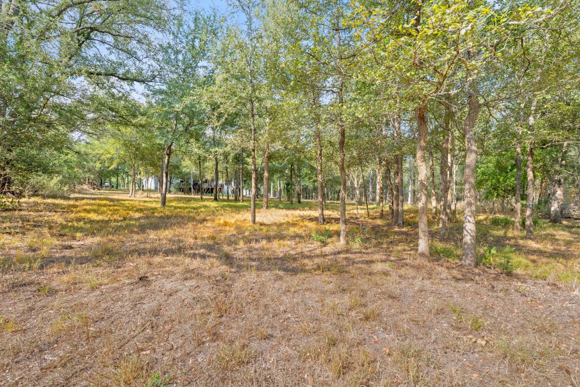 159 Raptor Beak Way Cedar Creek, TX 78612 - Photo 29 of 32