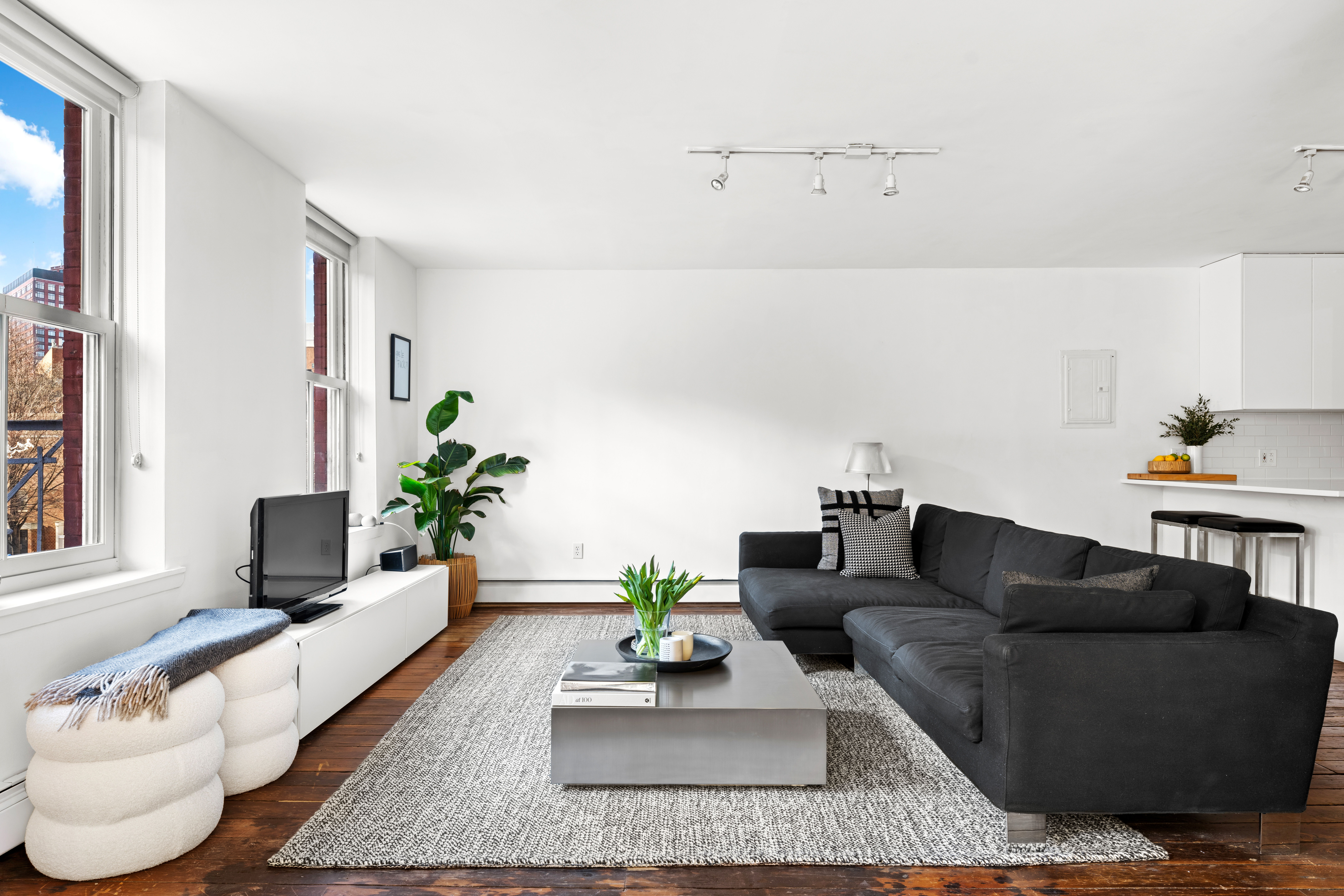 24 Harrison Street, Unit 3 Manhattan, NY 10013 - Photo 2 of 11 a living room with furniture and a potted plant