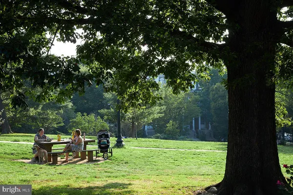 a view of a park with large trees