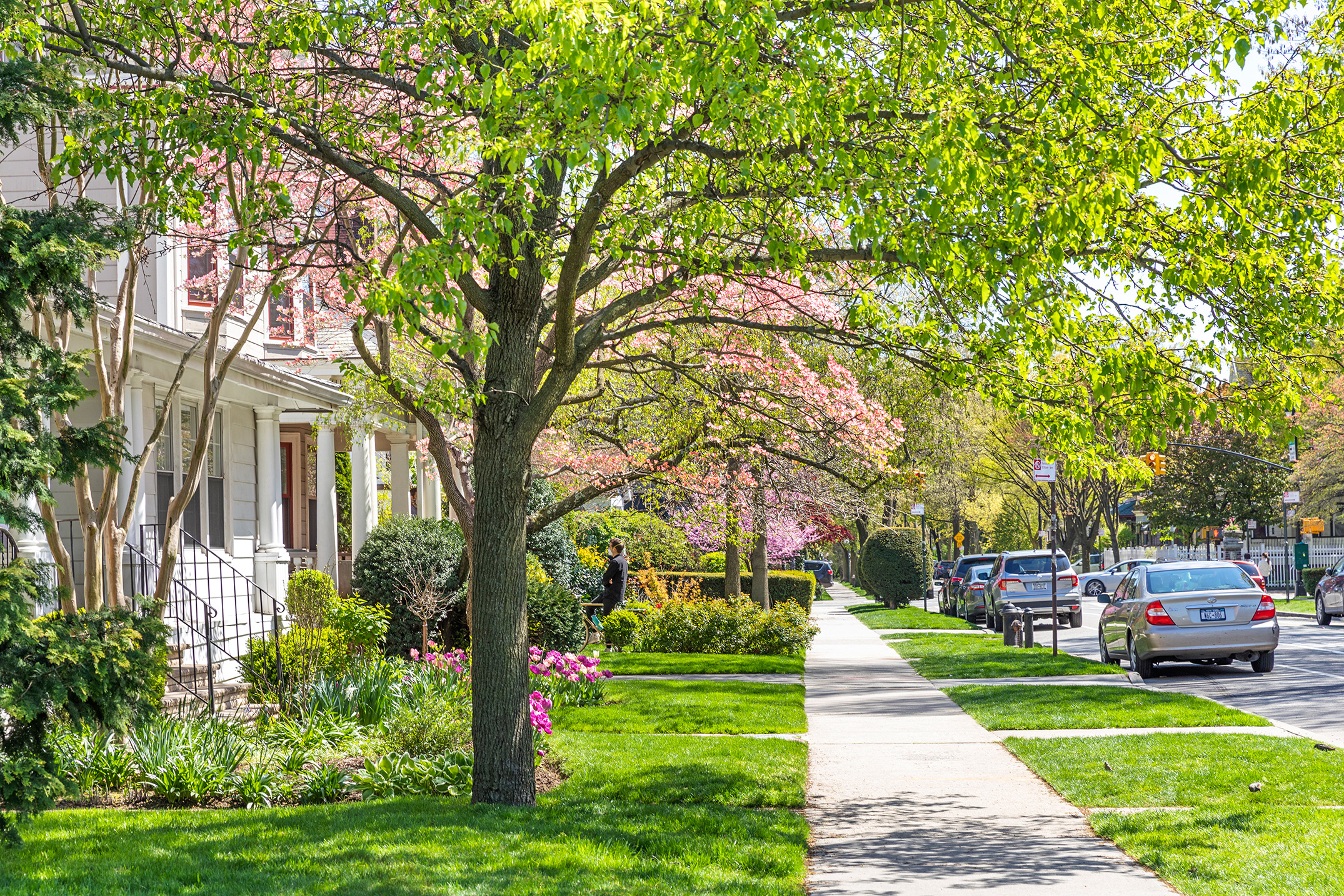 197 Rugby Road Brooklyn, NY 11226 - Photo 14 of 15