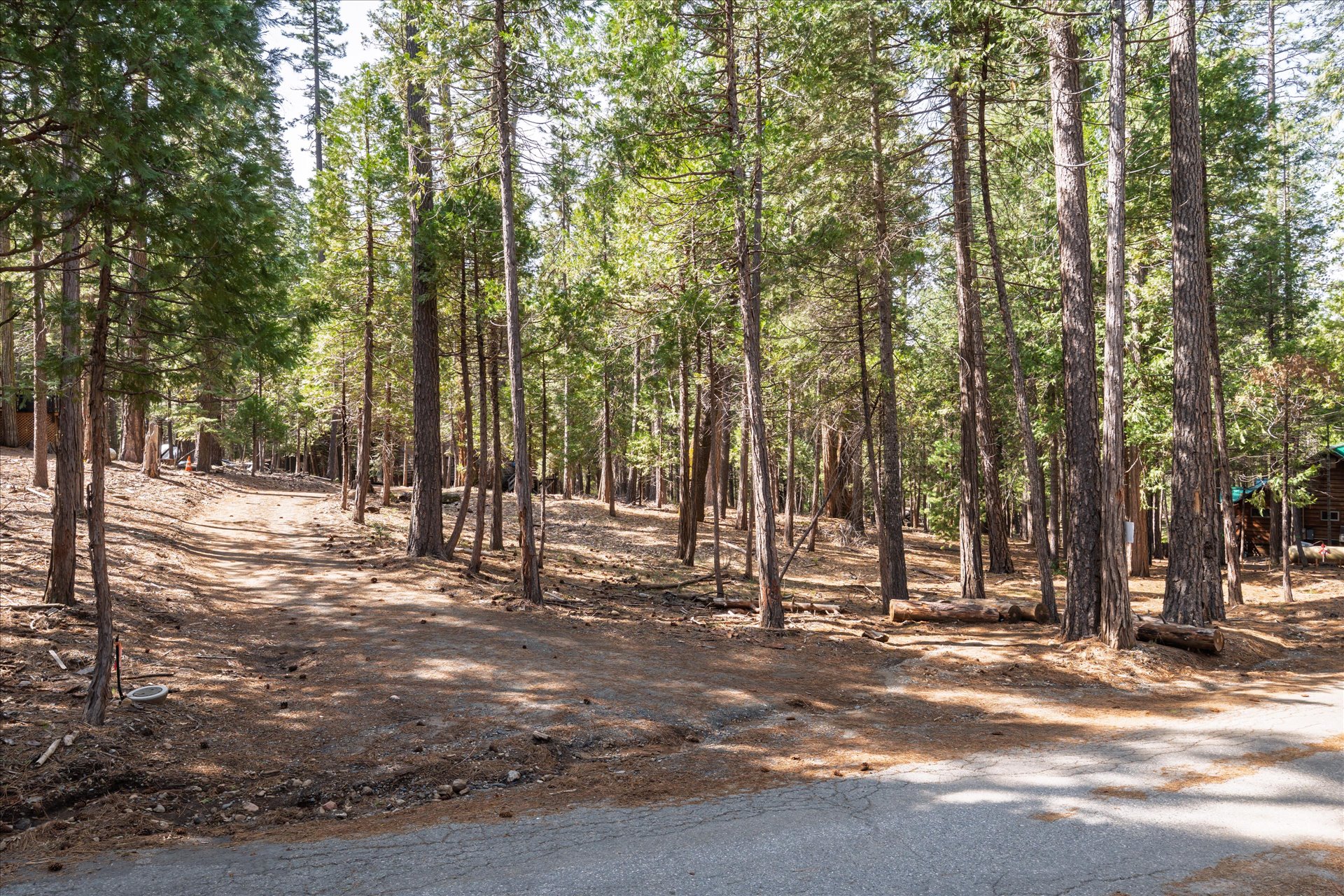 0 Koon Hollar Wawona, CA 95389 - Photo 1 of 31 a view of road with trees