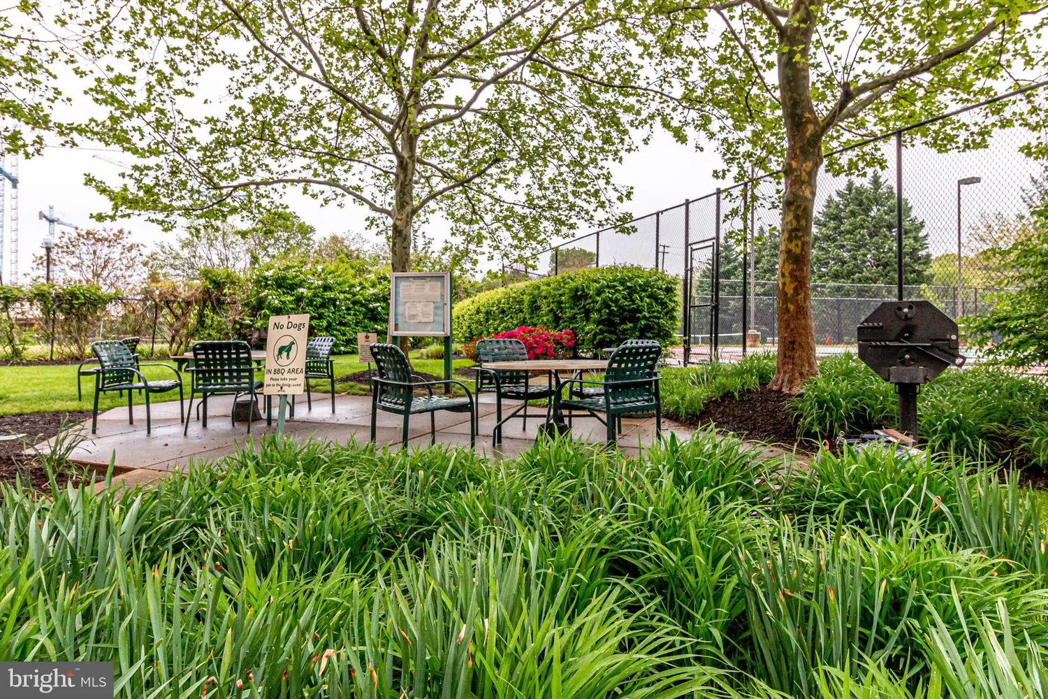 a garden view with a seating space