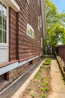 a view of a back yard with plants and large trees