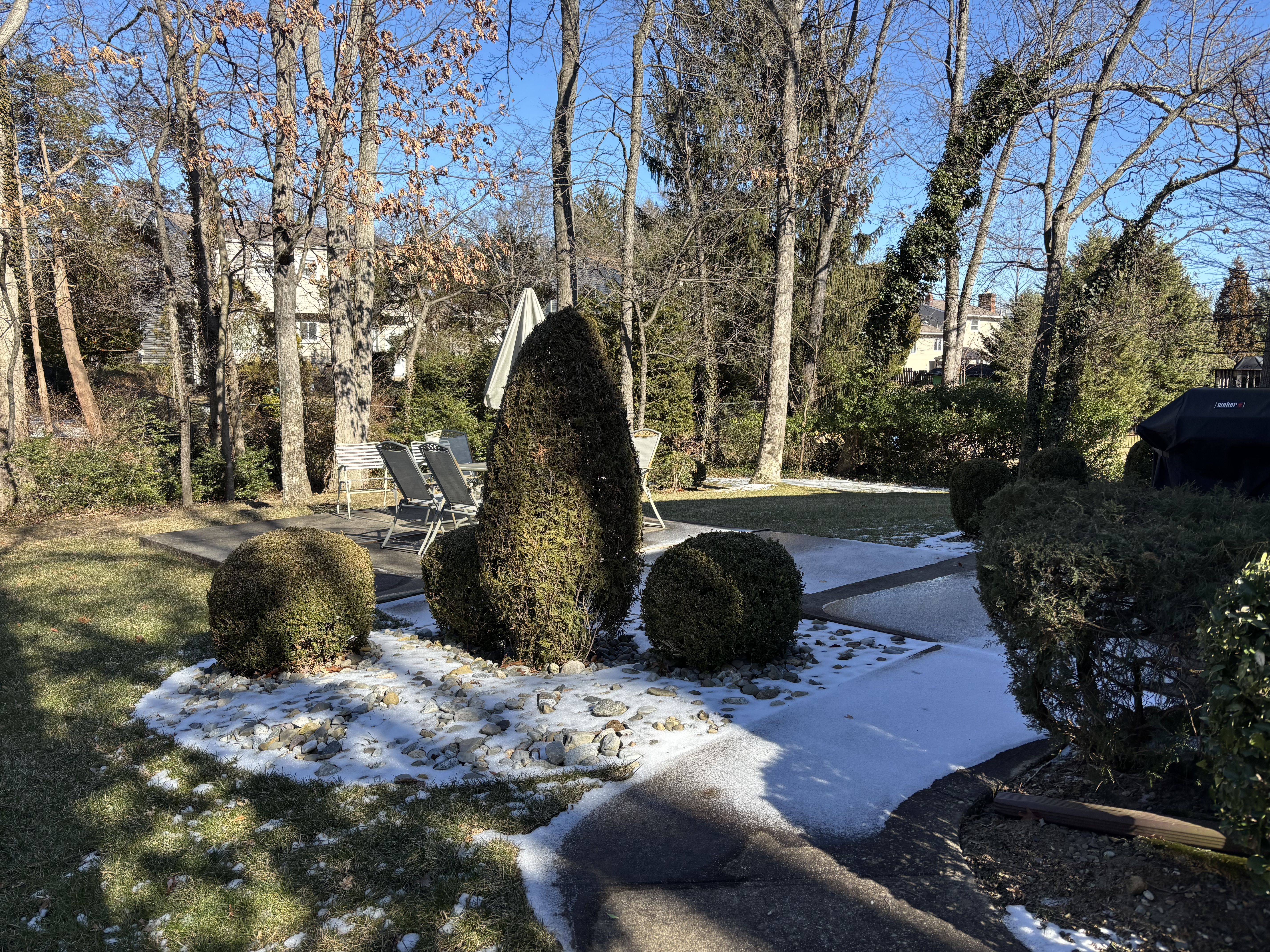117 Saratoga Court Somerset, NJ 08873 - Photo 6 of 6 a view of a backyard with plants and trees
