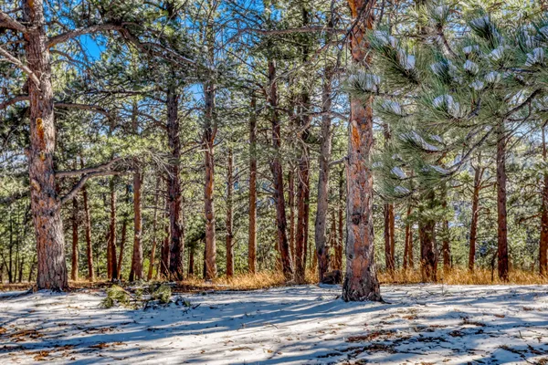 a view of outdoor space with seating