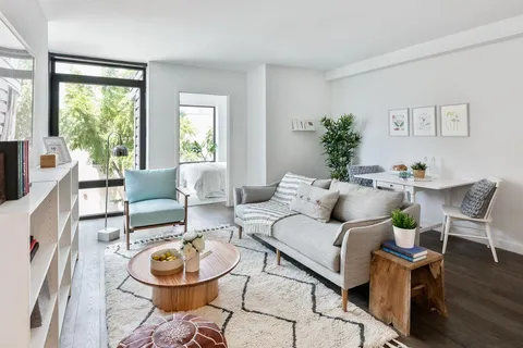 a living room with furniture and a potted plant