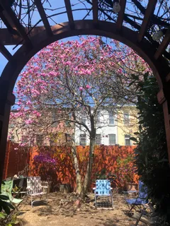 a front view of a house