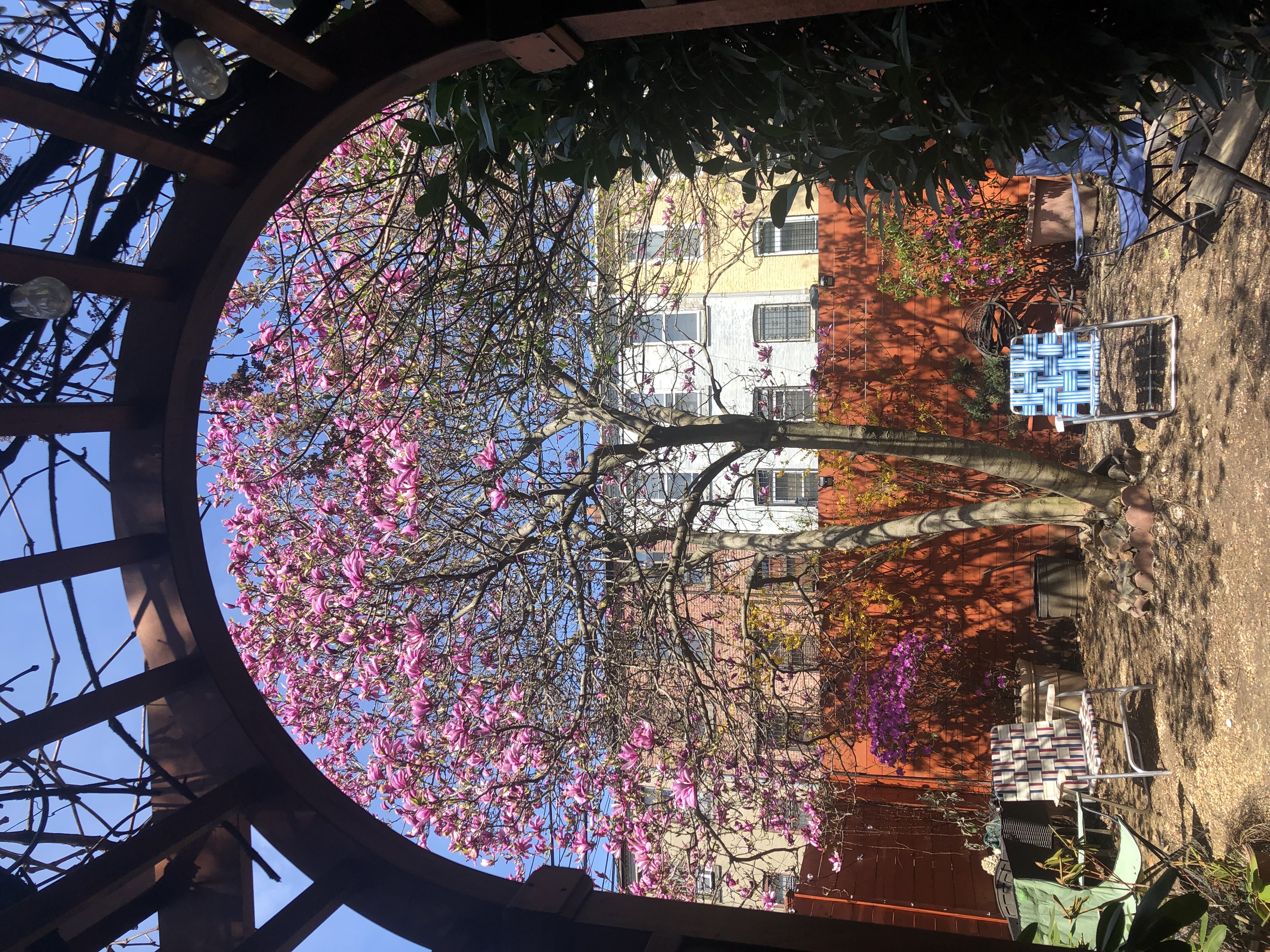 441 MacDonough Street Brooklyn, NY 11233 - Photo 7 of 13 a front view of a house