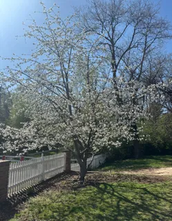 $815,000 | 4147 Taney Avenue, Alexandria, VA 22304