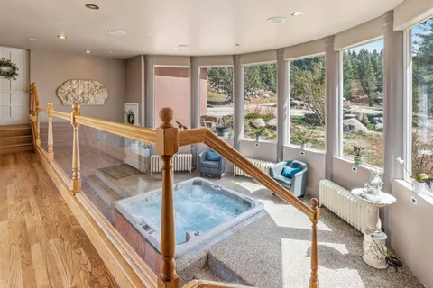 a view of a lush green forest with a mountain in the background