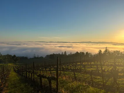 $1,795,000 | 31920 Pine Mountain Road, Cloverdale, CA 95425