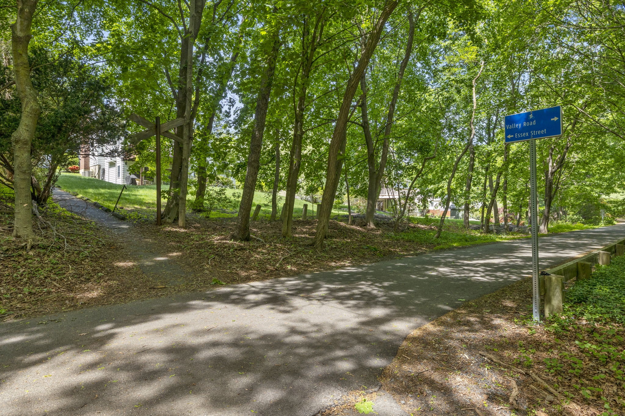 2 Laurel Street Lexington, MA 02421 - Photo 6 of 46 a view of a trees with a yard