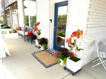 a living room with a couch and potted plant