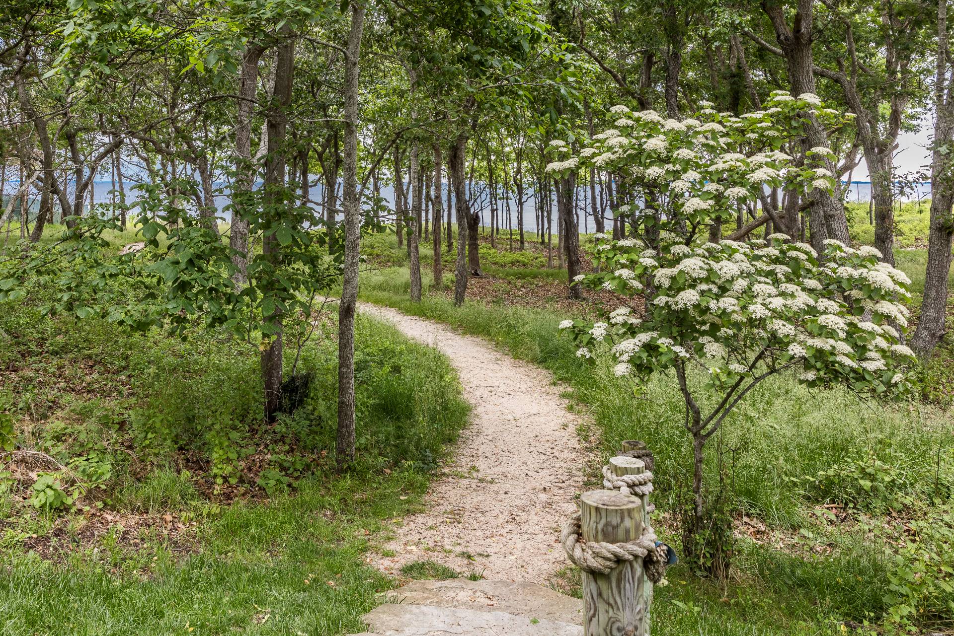 6 Masthead Lane East Hampton, NY 11937 - Photo 30 of 39