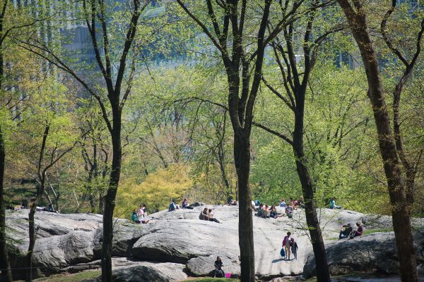 23 West 88th Street, Unit 2F Manhattan, NY 10024 - Photo 7 of 7