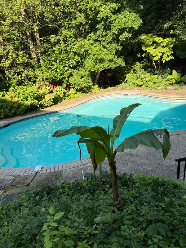 a view of a garden with an outdoor space