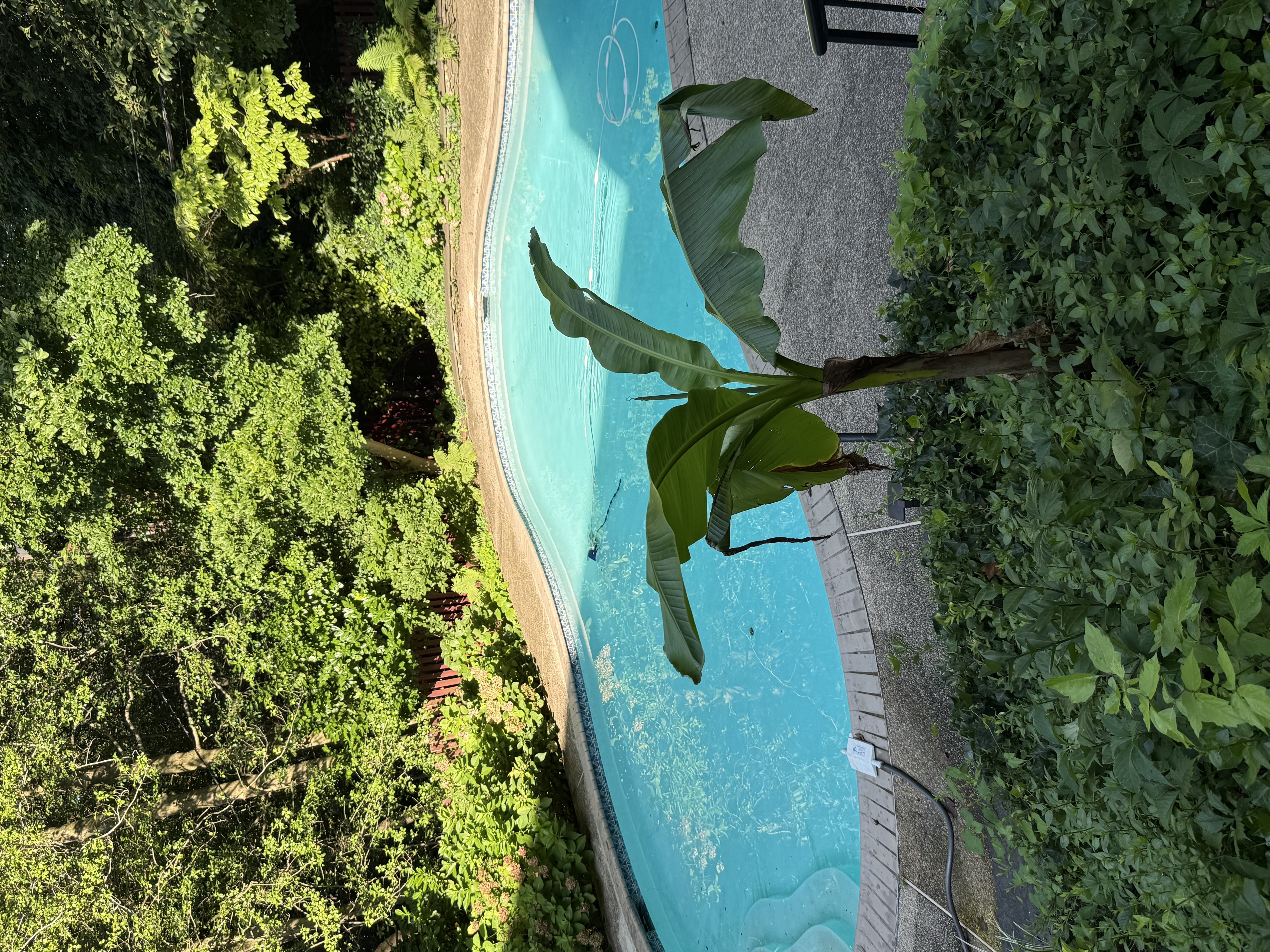 5344 Falmouth Road Bethesda, MD 20816 - Photo 2 of 17