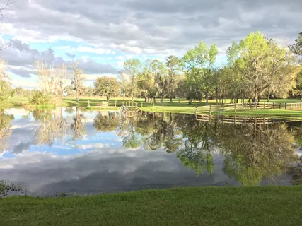a view of a lake with a big yard
