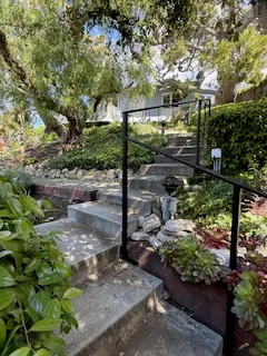 a view of a pathway with a tree