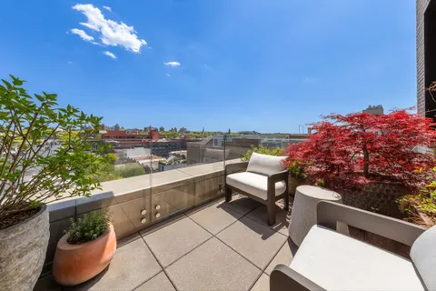 a view of a terrace with couches and a potted plant