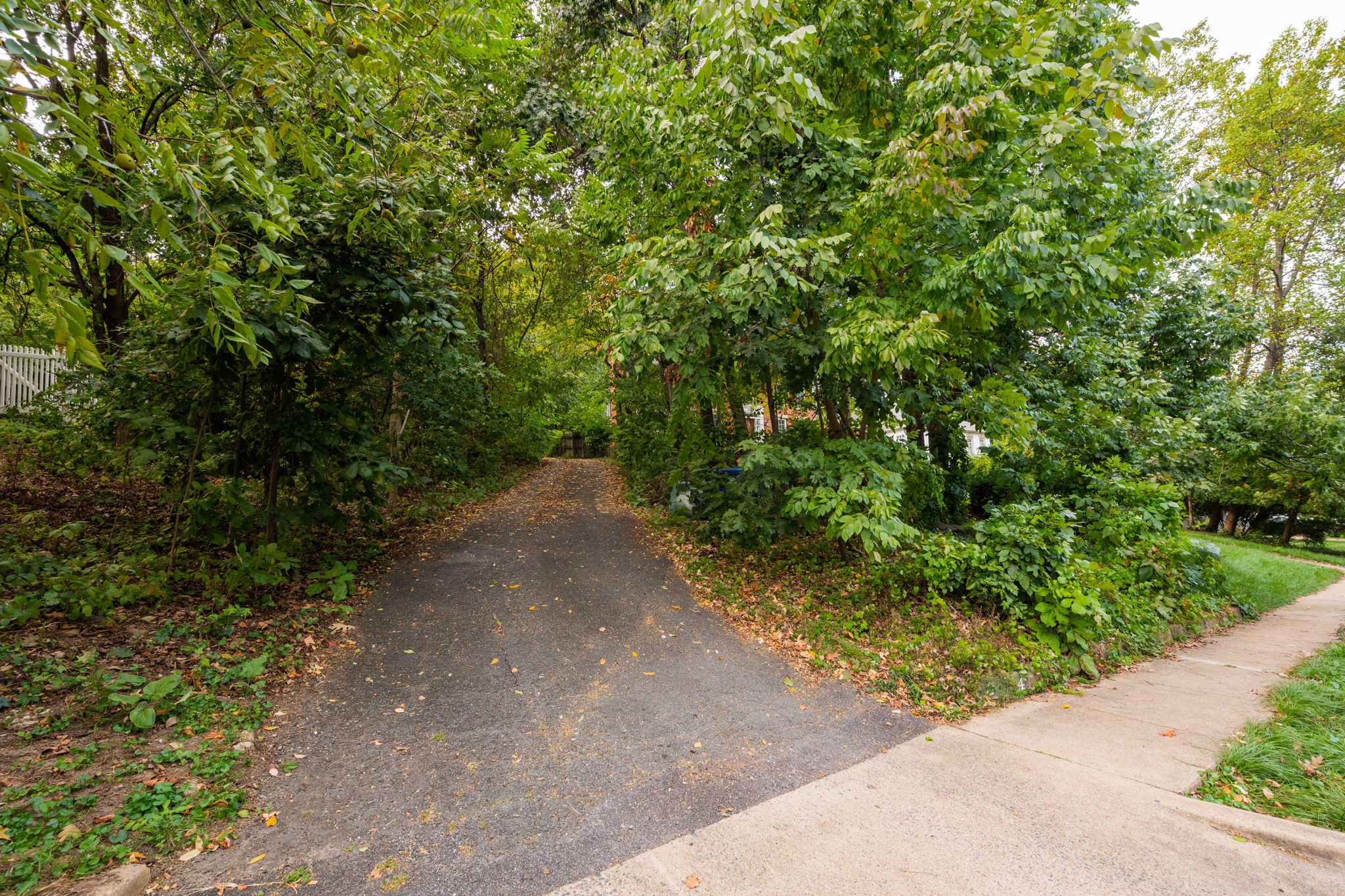 3104 Russell Road Alexandria, VA 22305 - Photo 58 of 62 a view of a pathway both side of yard