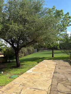 a view of a park with large trees