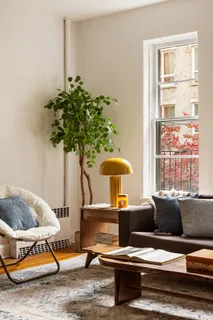 a living room with furniture and a potted plant
