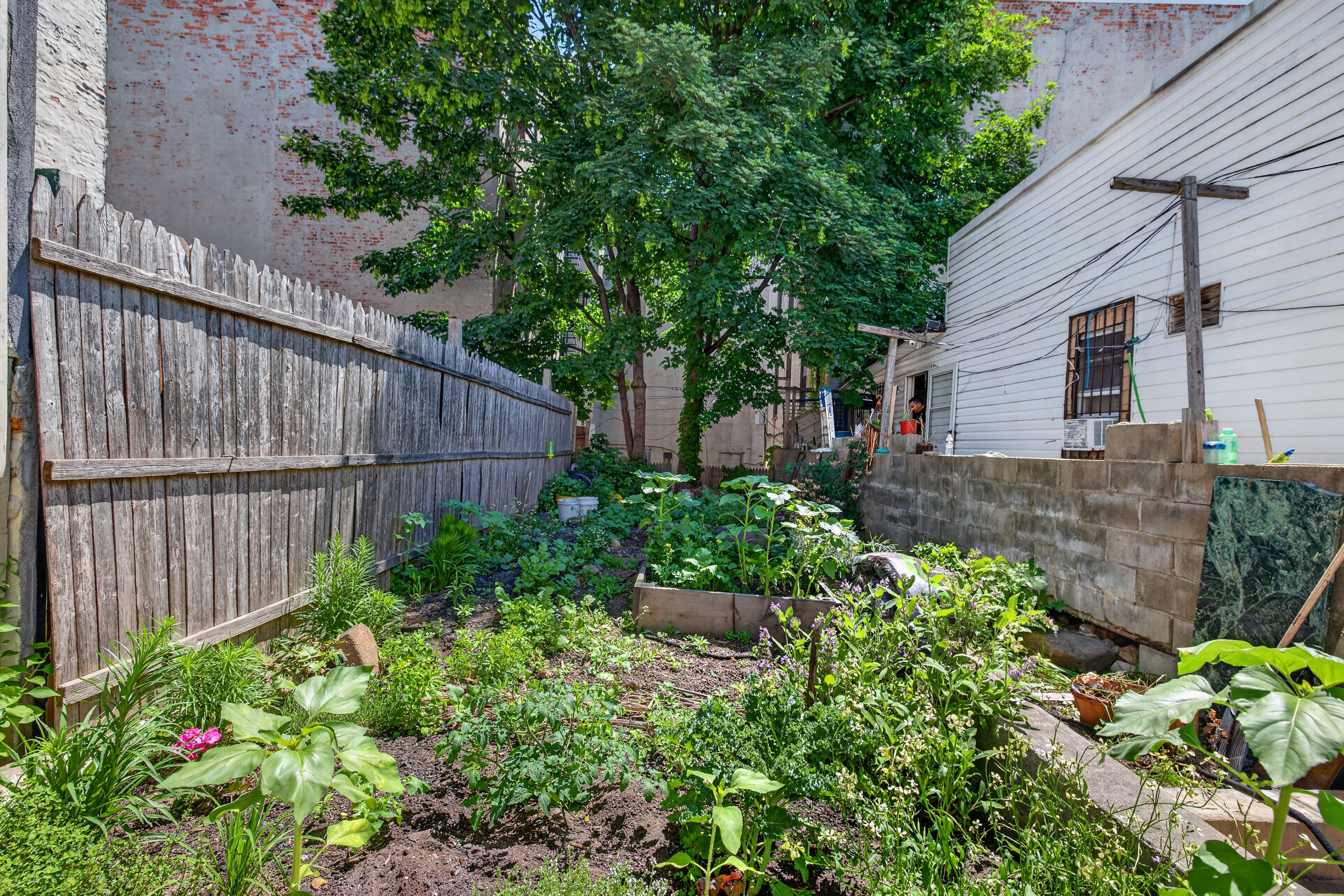 239 Buffalo Avenue Brooklyn, NY 11213 - Photo 12 of 27