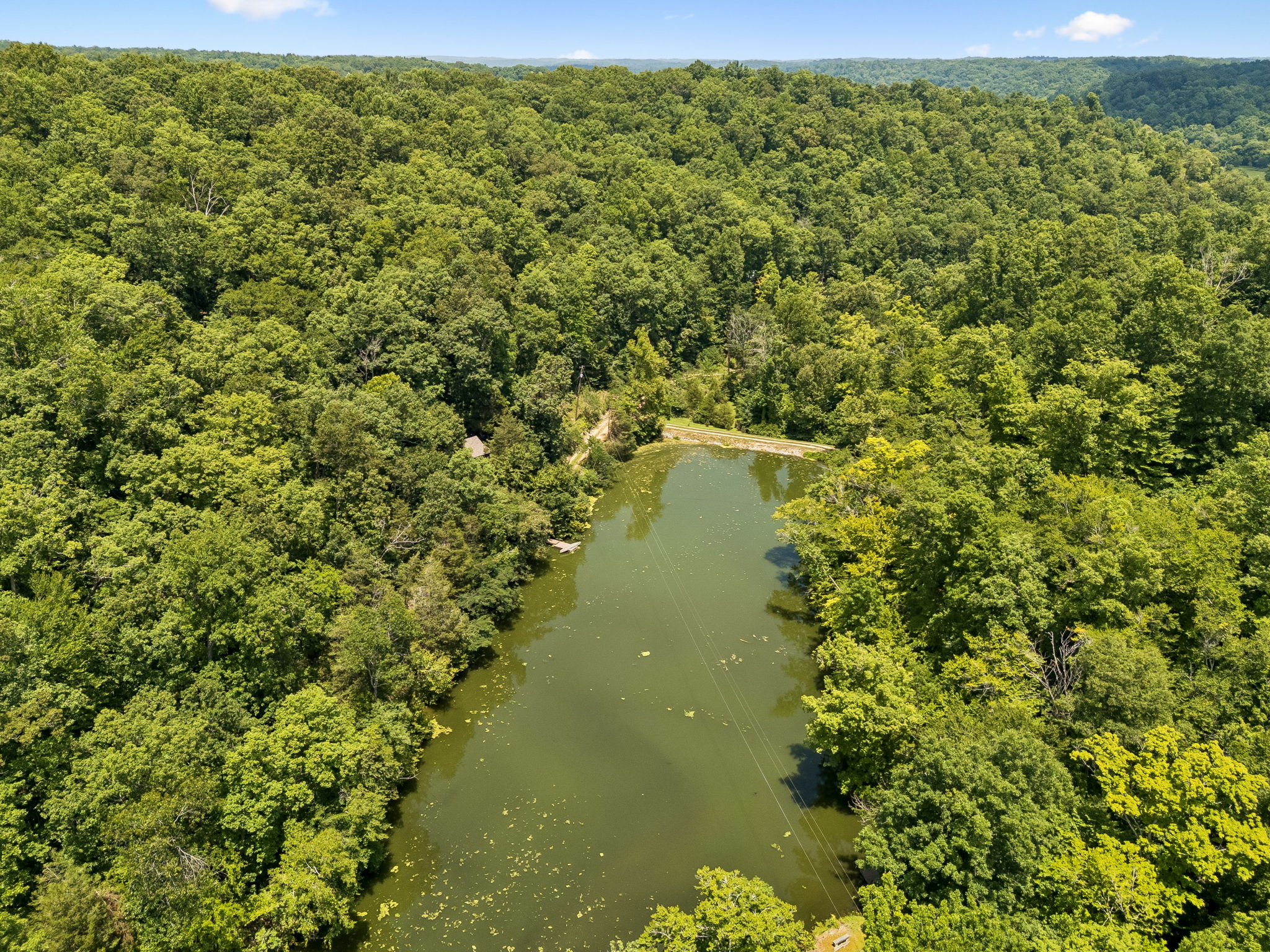 7941 Fernvale Road Fairview, TN 37062 - Photo 53 of 62