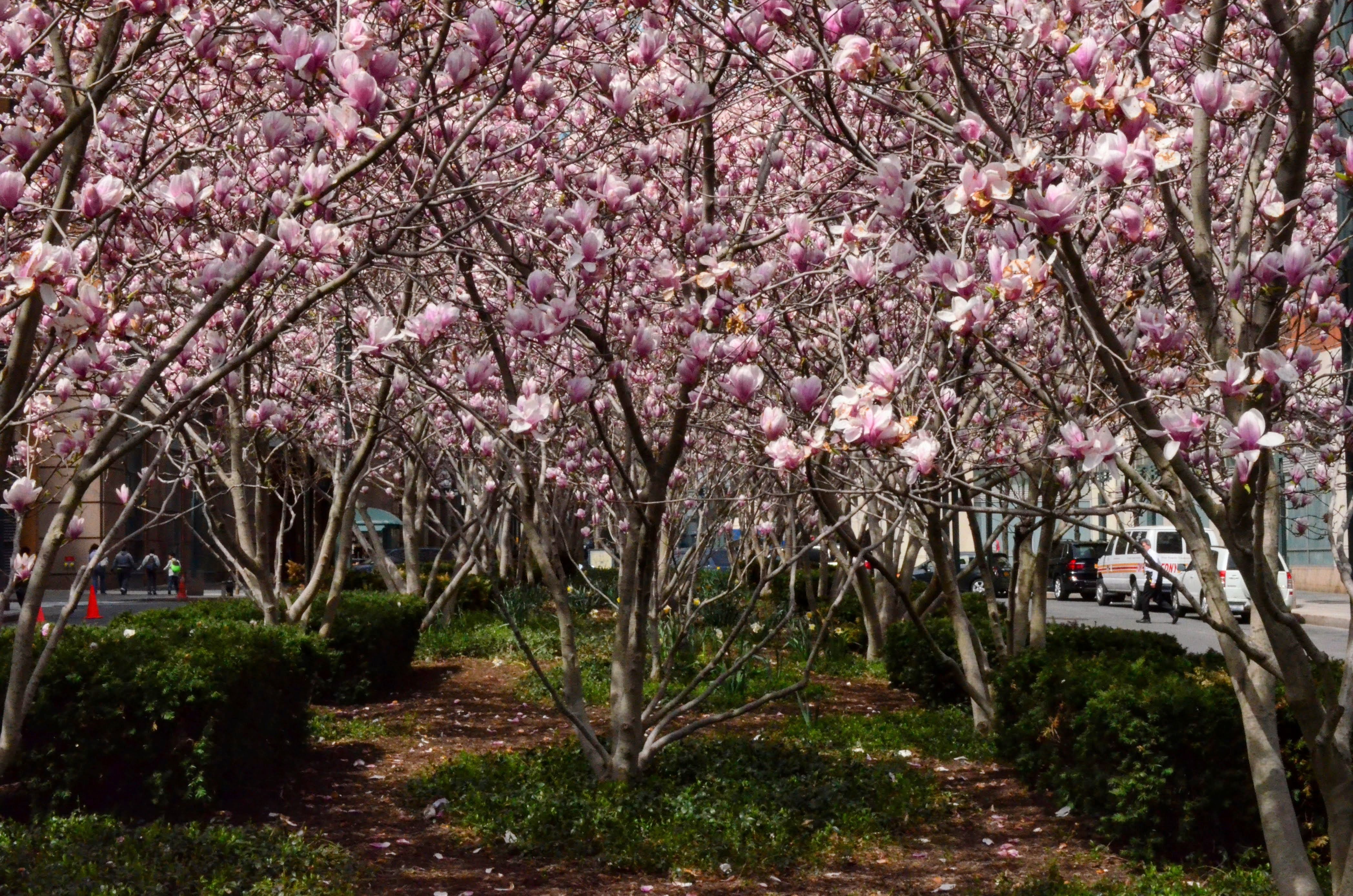 388 Bridge Street, Unit 37D Brooklyn, NY 11201 - Photo 31 of 34