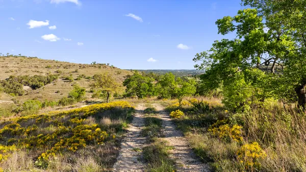 a view of a lake with mountains in the background