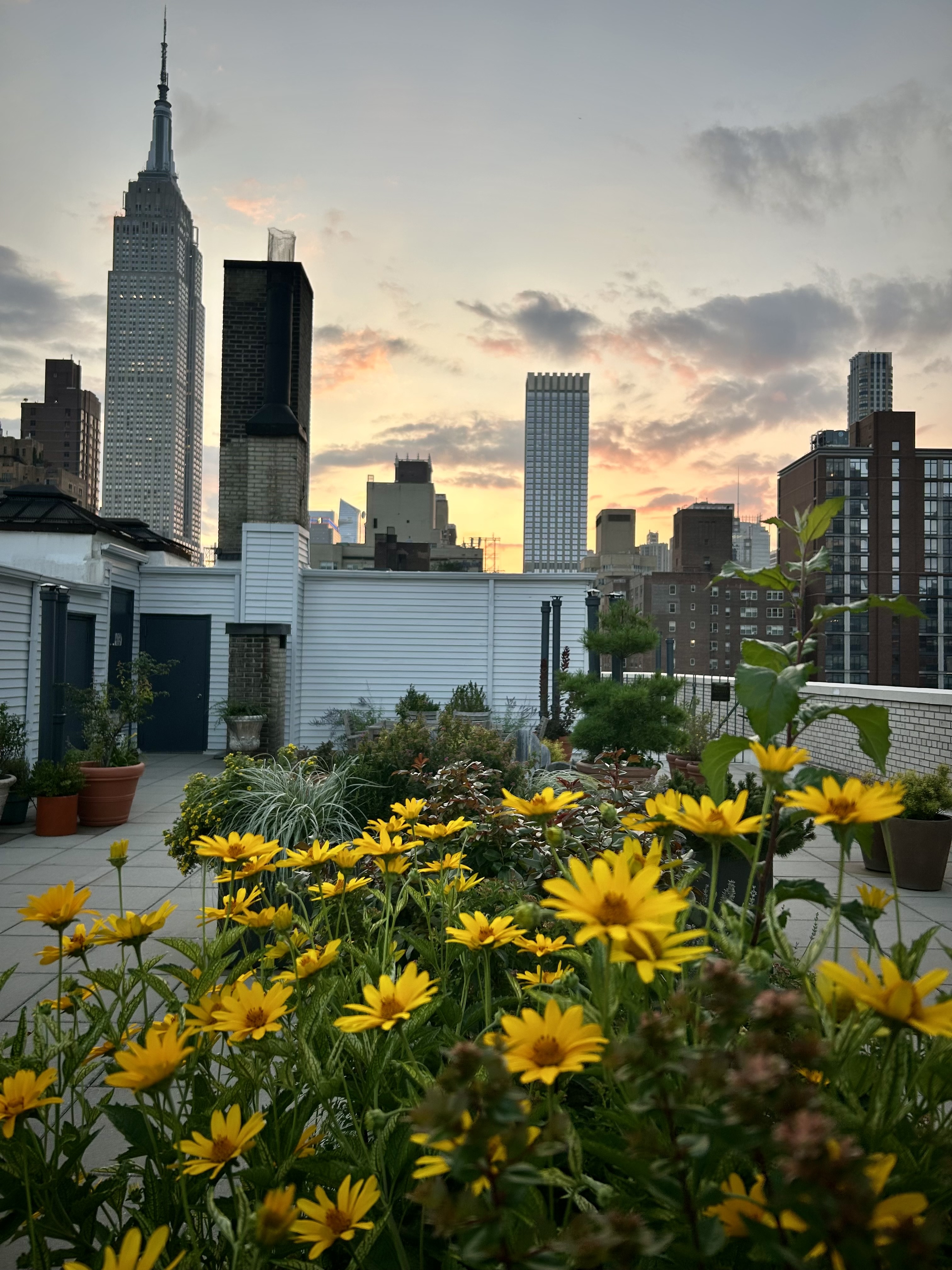 136 East 36th Street, Unit 5D Manhattan, NY 10016 - Photo 8 of 19