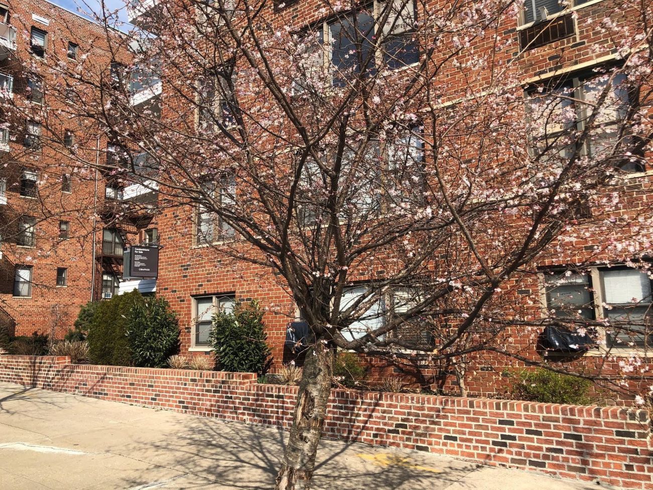 9511 Shore Road, Unit 612 Brooklyn, NY 11209 - Photo 12 of 15 Gallery Image 12