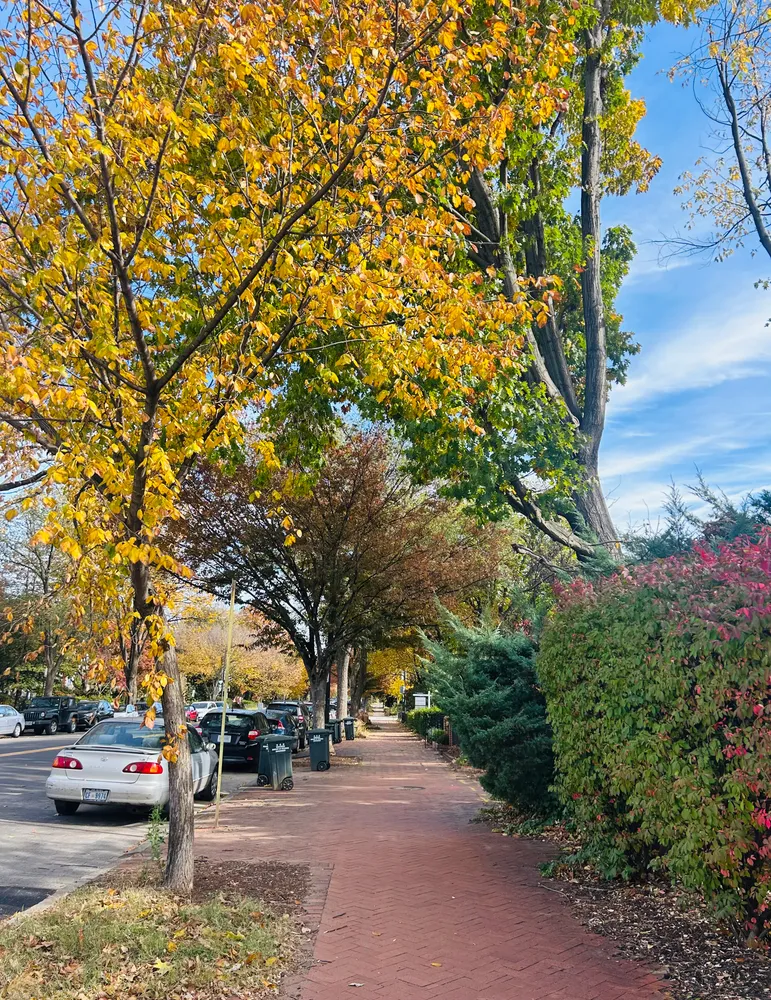 $829,000 | 1019 South Carolina Avenue Southeast, Washington, DC 20003