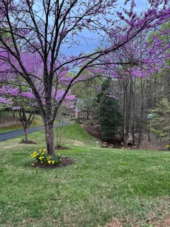 $2,200,000 | 182 River Park Drive, Great Falls, VA 22066