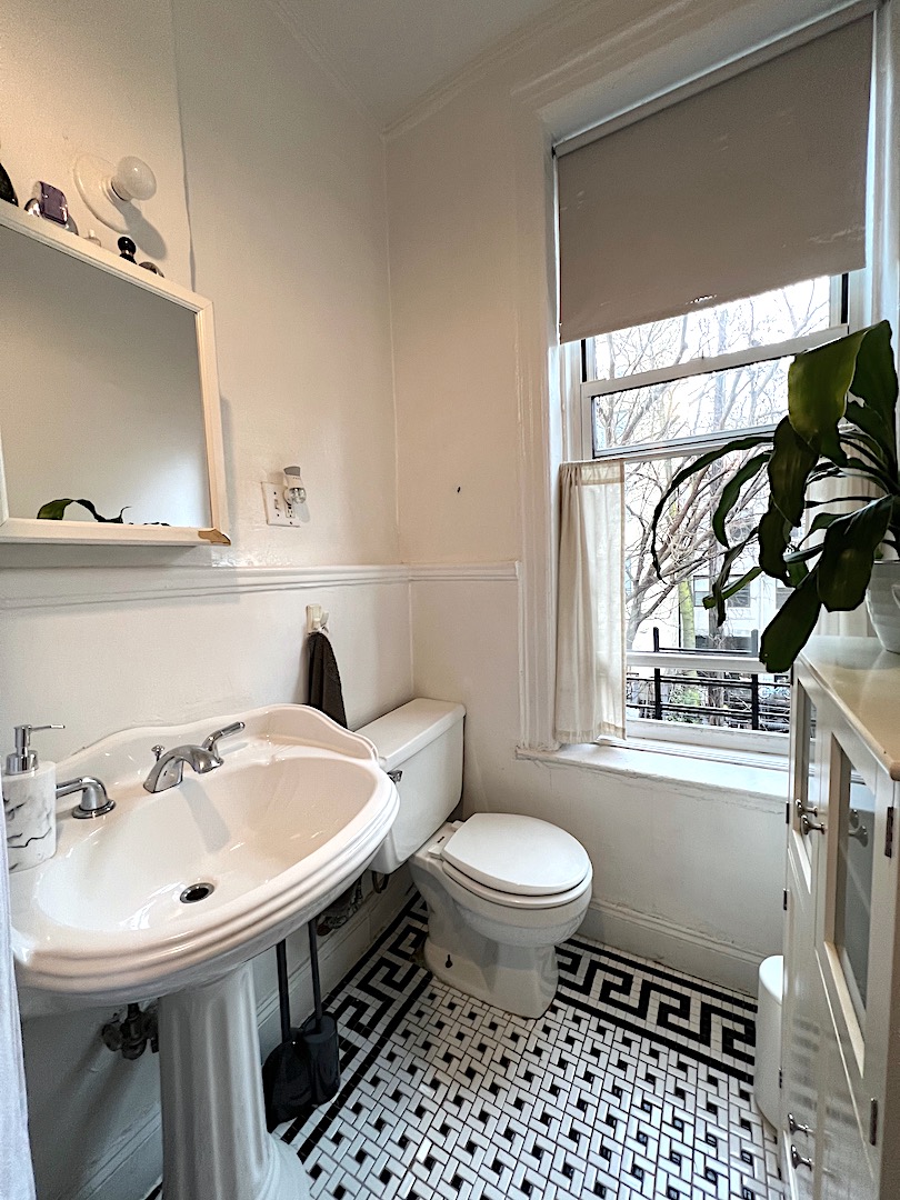 141 Union Street, Unit 2 Brooklyn, NY 11231 - Photo 14 of 15