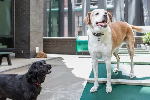 $969,000 | 15 William Street, Unit 10C | Financial District