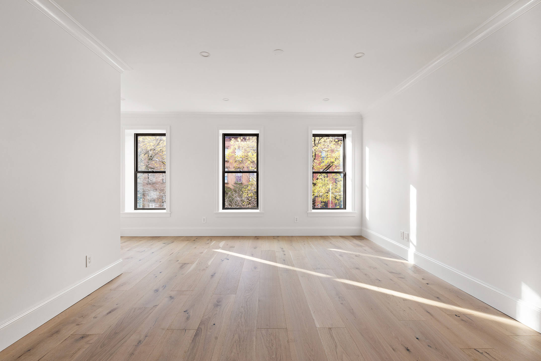 189 Prospect Place, Unit 2 Brooklyn, NY 11238 - Photo 3 of 19