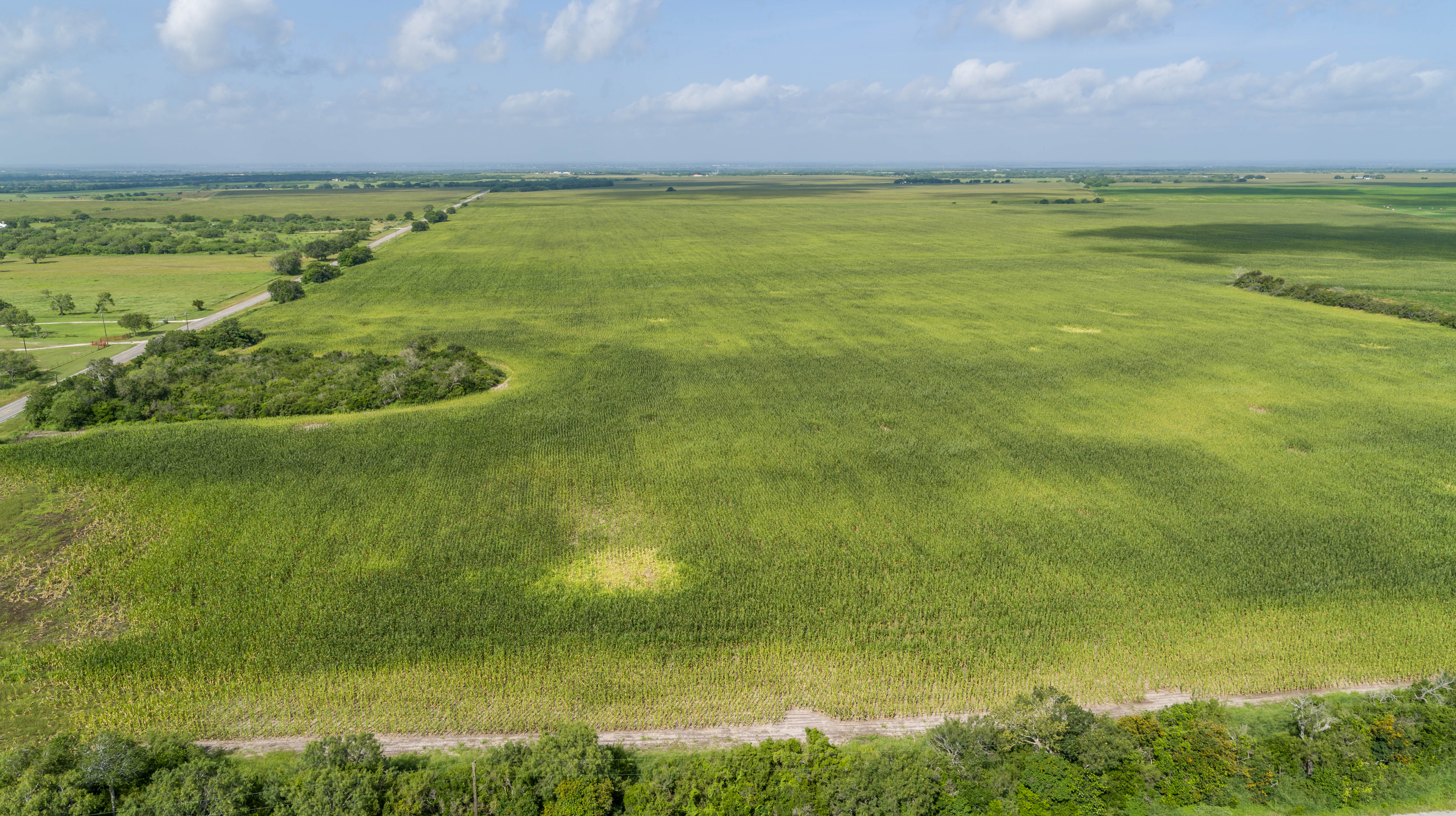 0 Fm 888 Mathis, TX 78368 - Photo 4 of 18