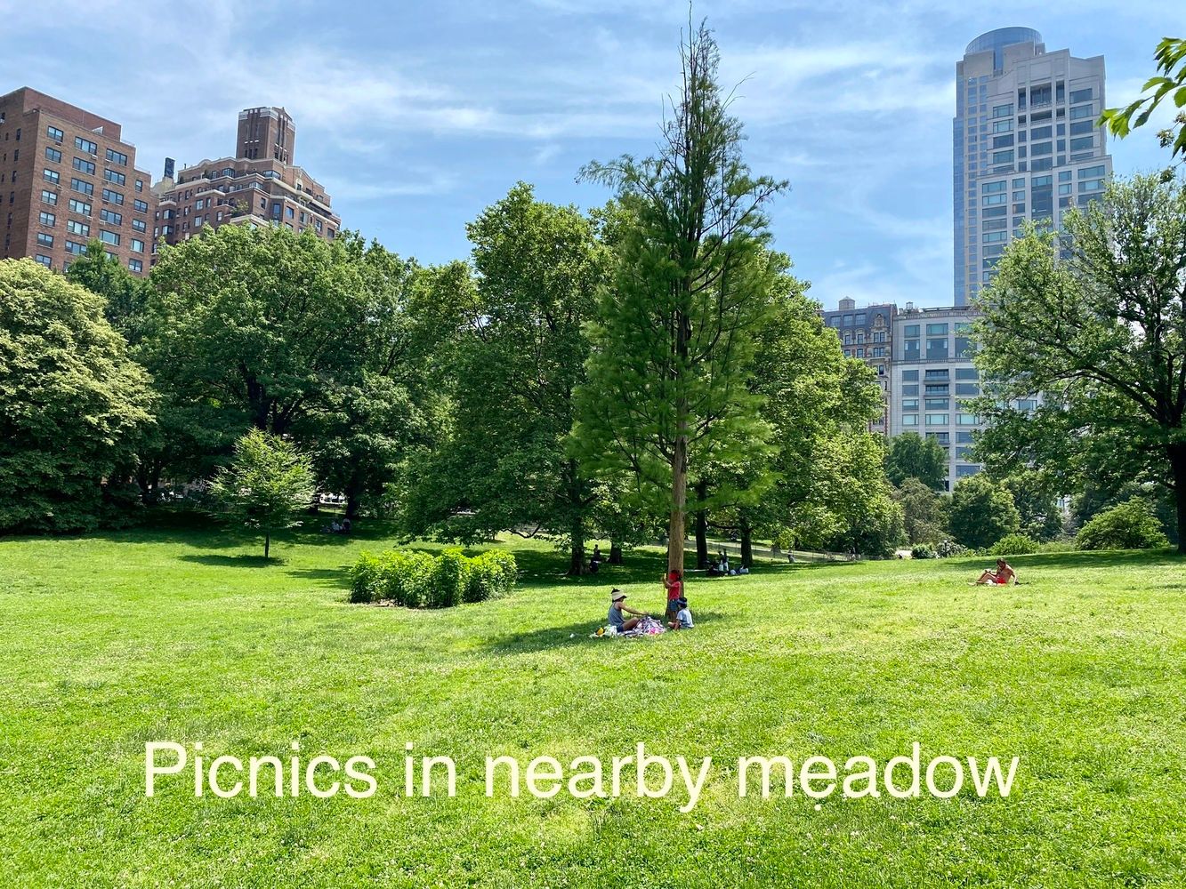 344 West 72nd Street, Unit 1008 Manhattan, NY 10023 - Photo 33 of 35 a view of a park with a tree in the background