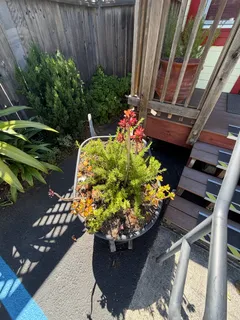 $899,000 | 720 East Washington Street, Petaluma, CA 94952
